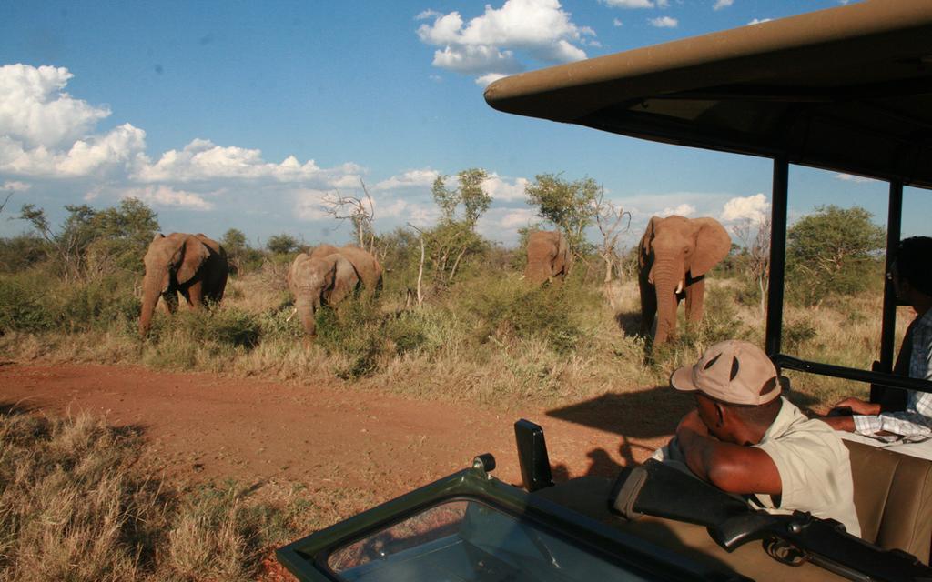 Etali Safari Lodge Madikwe Game Reserve Bagian luar foto